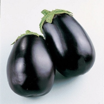 Primary image for Non GMO Black Beauty Eggplant - 75 Seeds