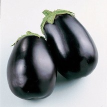 Black beauty eggplant seeds   75 seeds non gmo1 thumb200