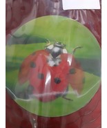 Evergreen Garden Geo Spinner - Ladybug Wind Spinner - NIB - Free Shipping - $24.97