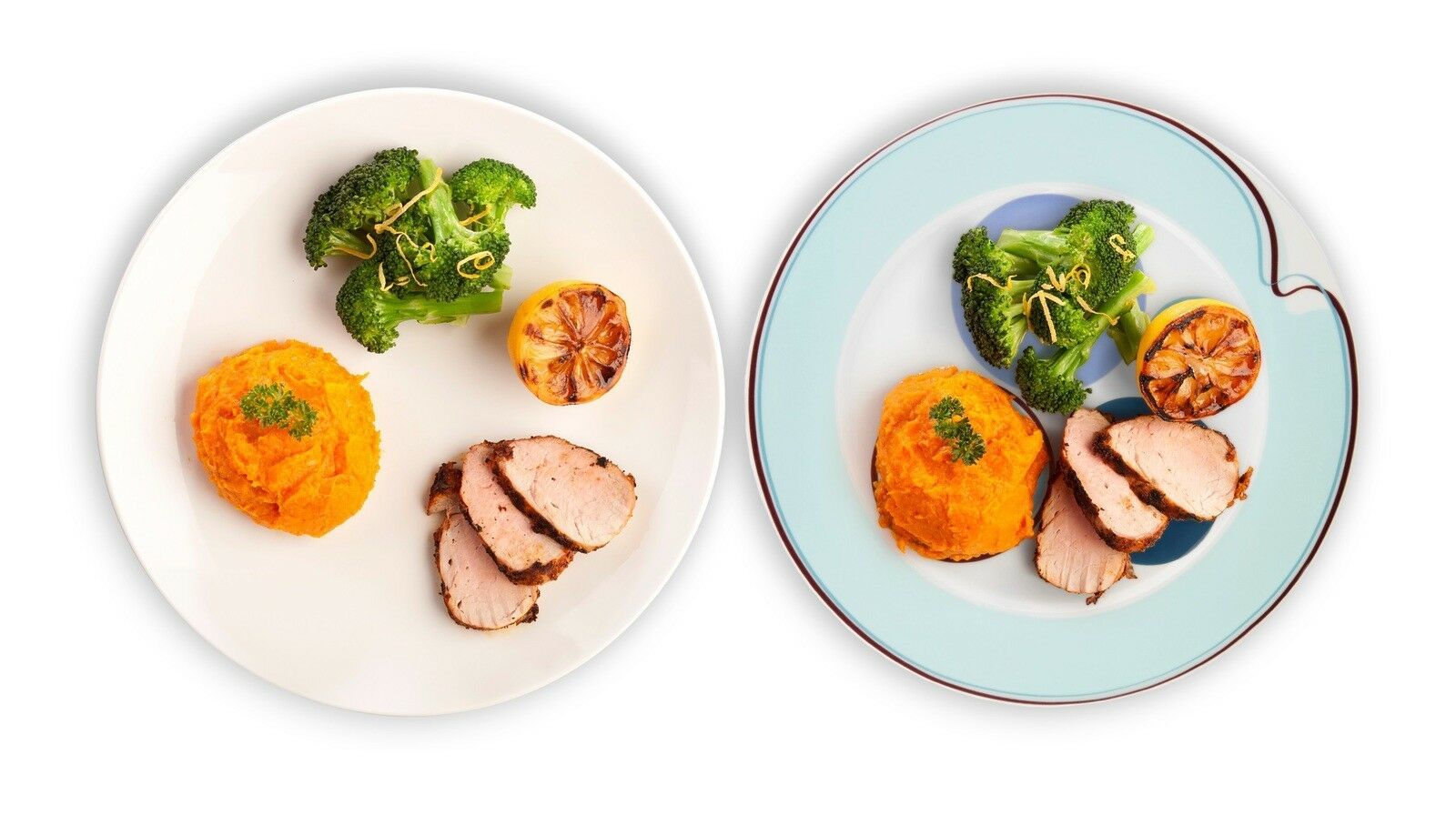 Portion Control Plates, Piece Halsa Dinner Plate For Weight Loss & Bariatric Weight Loss Kits