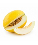 30 SEEDS melon, CANARY bright YELLOW, pale green flesh Sweet non-GMO - $11.99