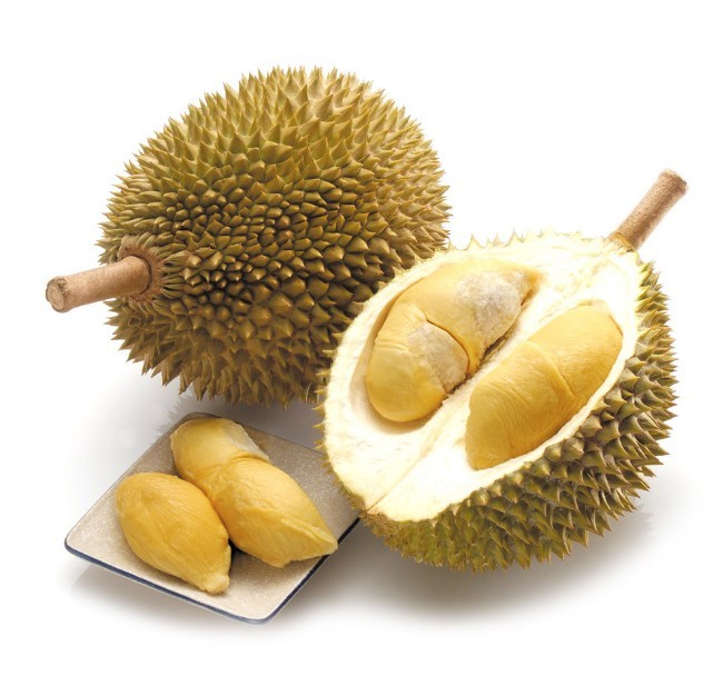 Super Sale 100 Seeds Buah Durian Bonsai Delicious King Of Fruit