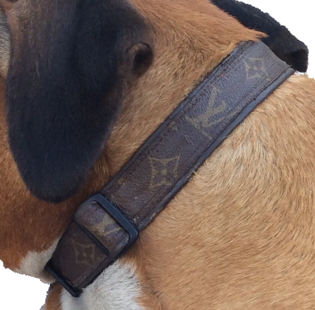LOUIS VUITTON Dog Collar 33cm(13.0") & Leash 100cm(39.8") Set  for Small Dog Auth