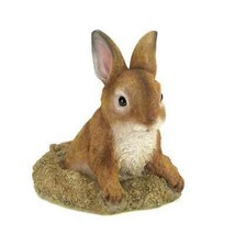 Curious Bunny Garden Decor - $14.26
