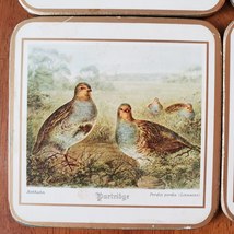 Pimpernel Coasters, Game Birds, set of 6 in Box, Vintage Duck Pheasant Partridge image 7