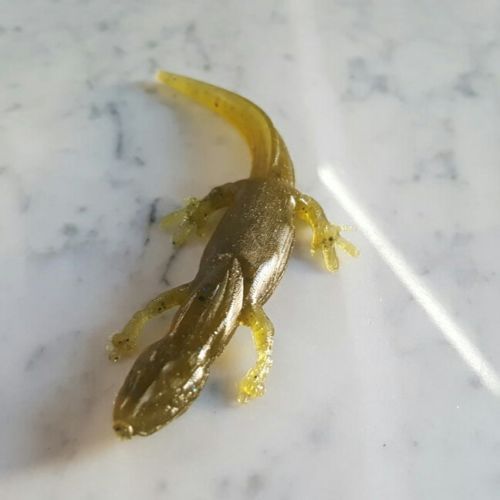 (Assorted colors pack)100 bag Bundle4.25" Salamander Soft Bait Fishing