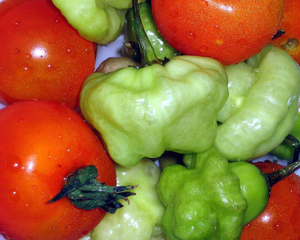 SWEET CHILI PEPPER, mild aji cubano dulce CACHUCHA spanish dishes seed