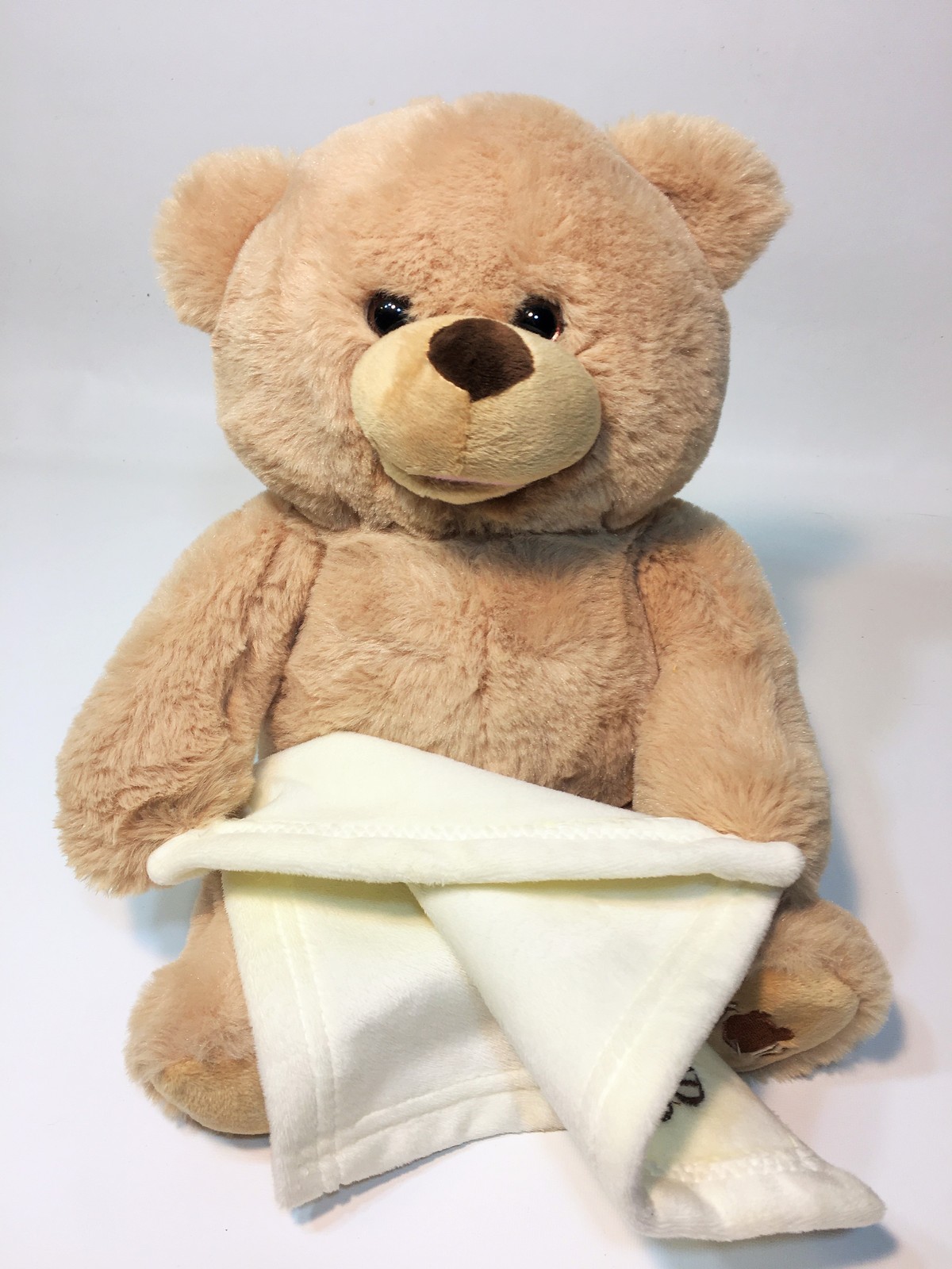 peek a boo teddy bear smyths