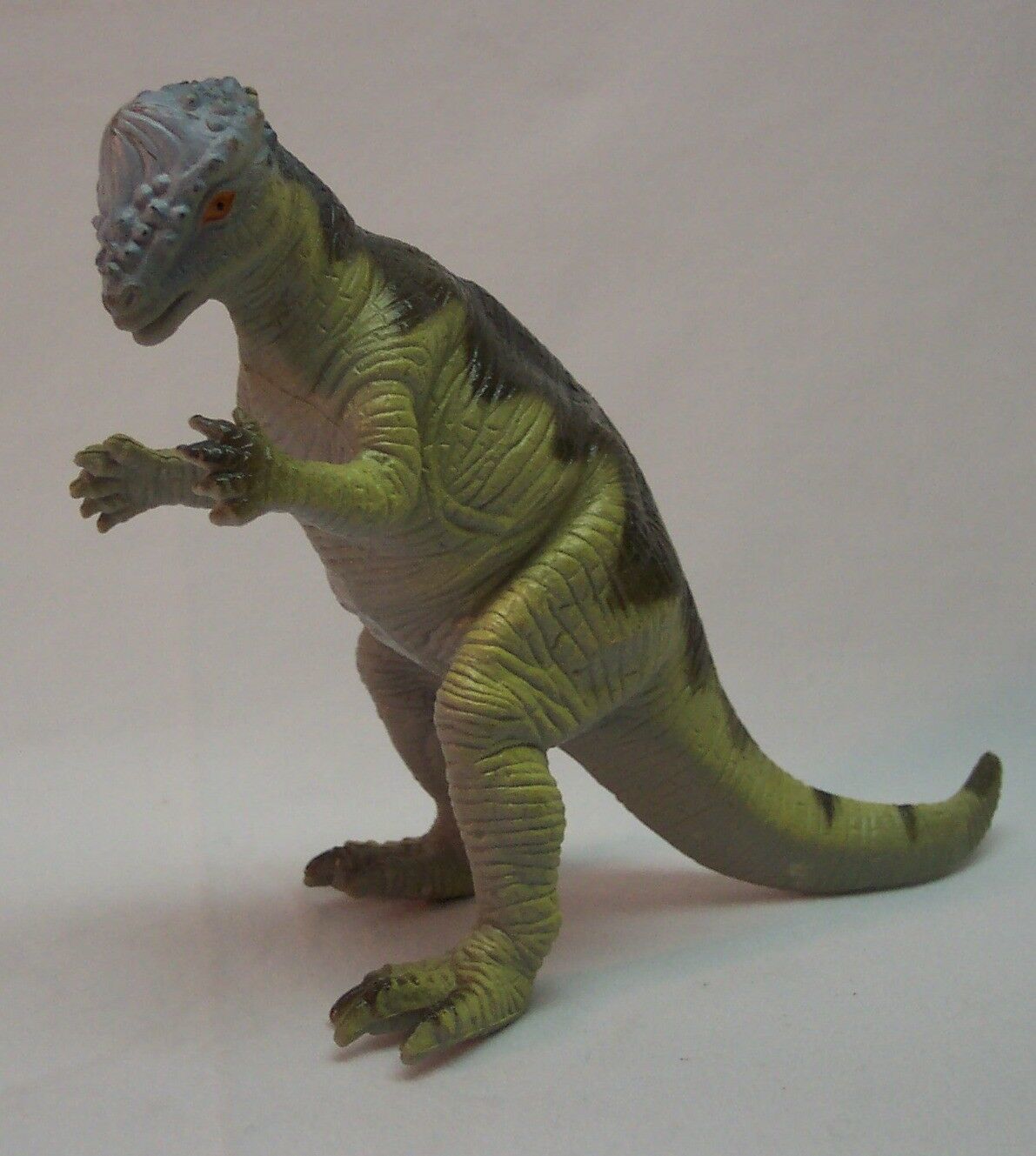 PACHYCEPHALOSAURUS DINOSAUR 7