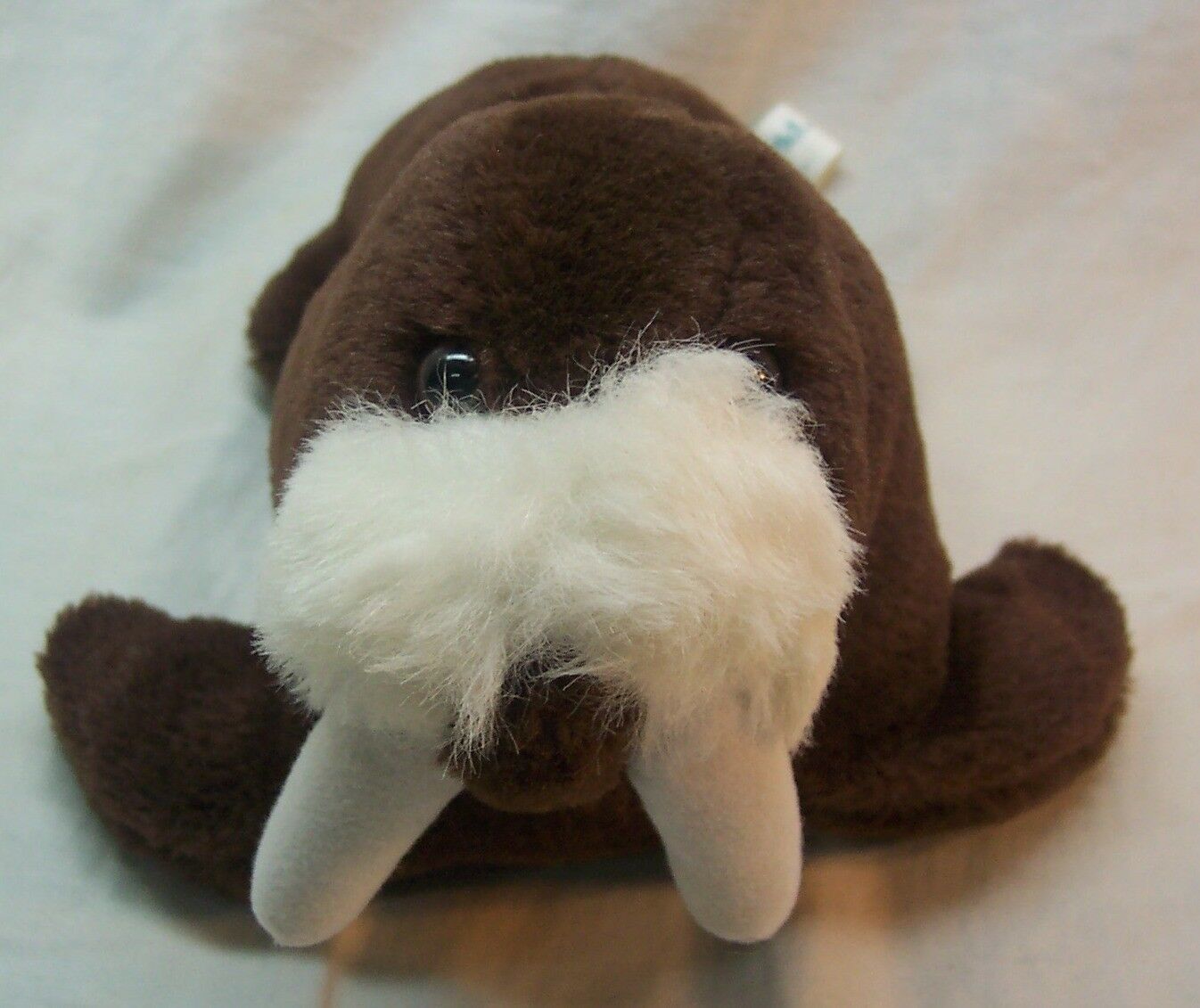 VINTAGE Sea World NICE WALRUS 9" Plush Stuffed Animal TOY - Other