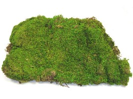 1 Quart Ziplock - Sheet Moss - $15.90
