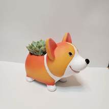 Corgi Planter with Echeveria Succulent, Dog Plant Pot, Animal Planter image 1