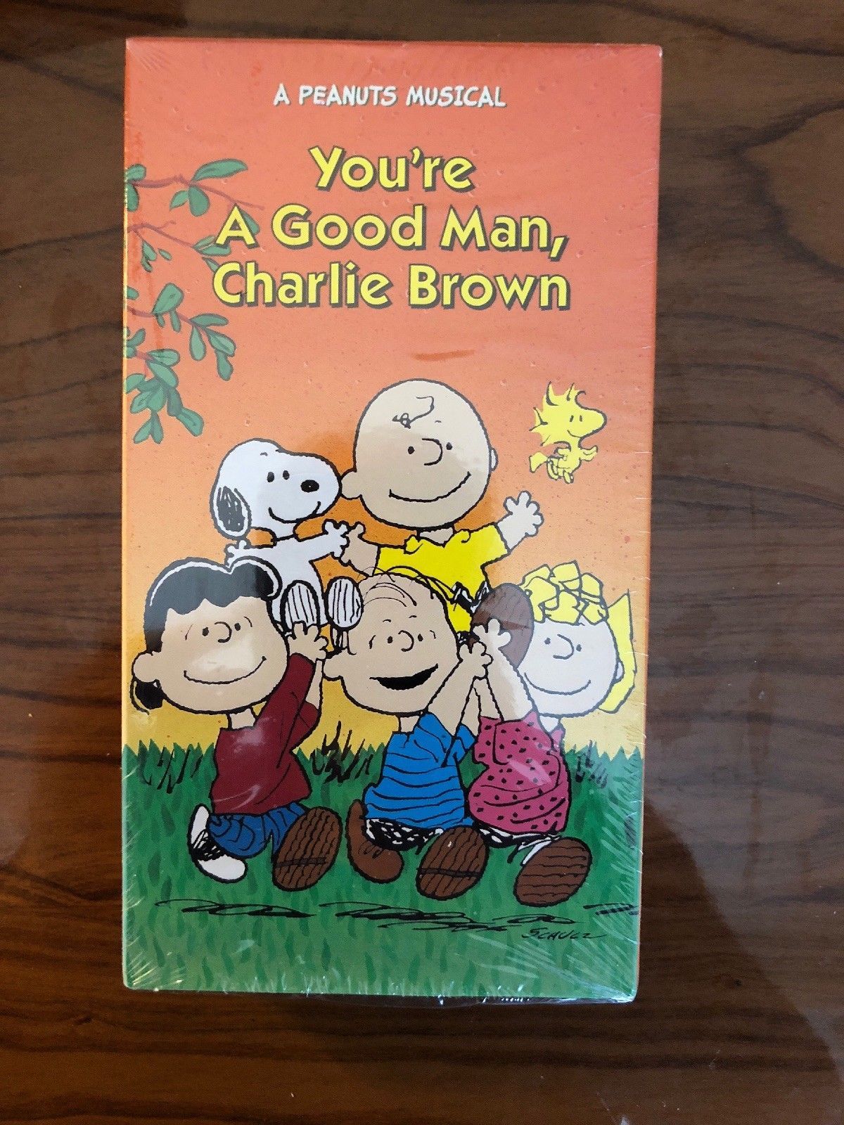 YOU'RE A GOOD MAN CHARLIE BROWNA PEANUTS MUSICAL(VHS 1995)BRAND NEW