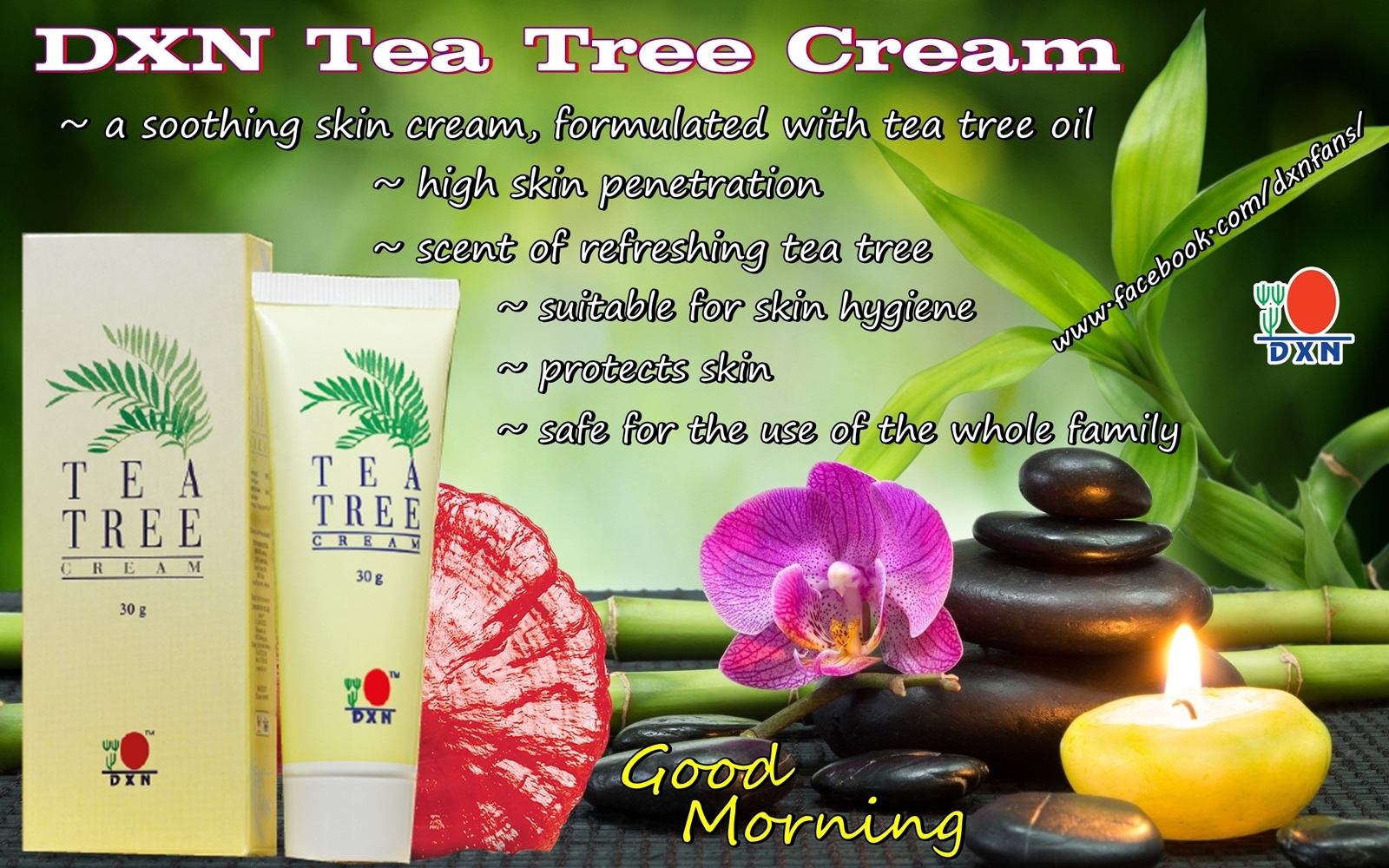 Крем tea tree отзывы. Косметика DXN. DXN компания парфюмерия. Tea for Skin. DXN Cosmetics slayd.