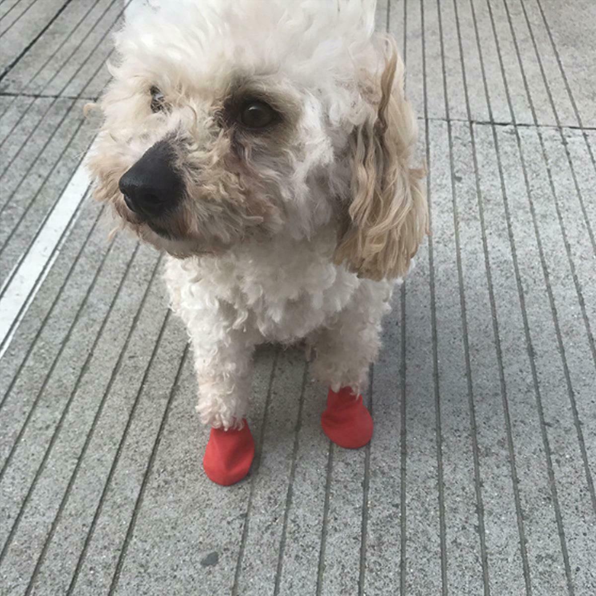 Dog Cat Red Silicone Protective Waterproof 4Pcs Raining Boot Shoes Size Large
