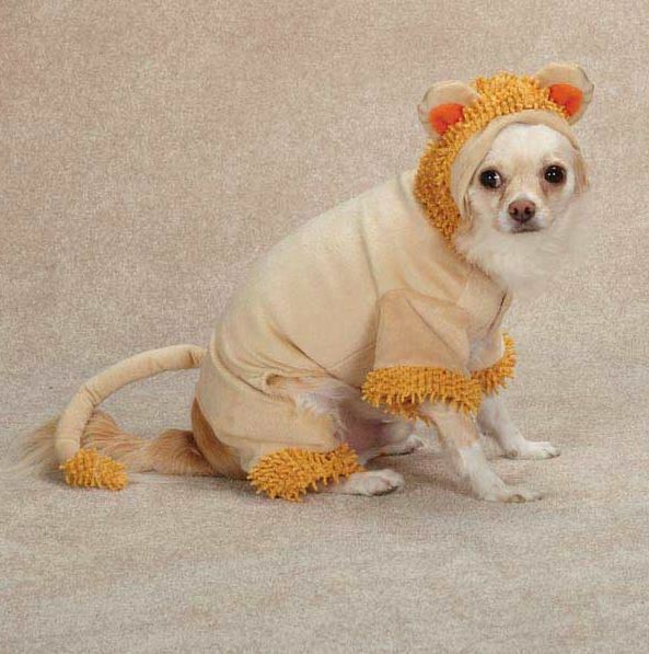 Jungle King Lion Dog Halloween Costume XS-XL Pet Casual Canine - $11.95 - $12.95