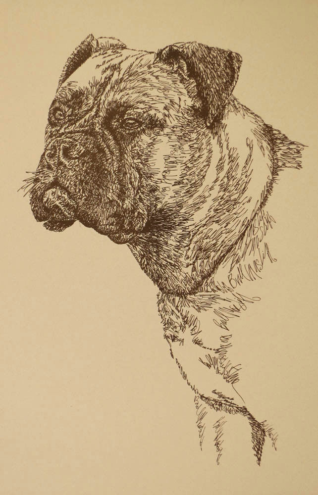 BULLMASTIFF DOG ART GIFT Stephen Kline will draw your dogs name free Print #22