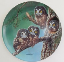 Knowles Beginning to Explore Boreal Owls Plate Joe Thornbrugh Baby Owls ... - $29.70