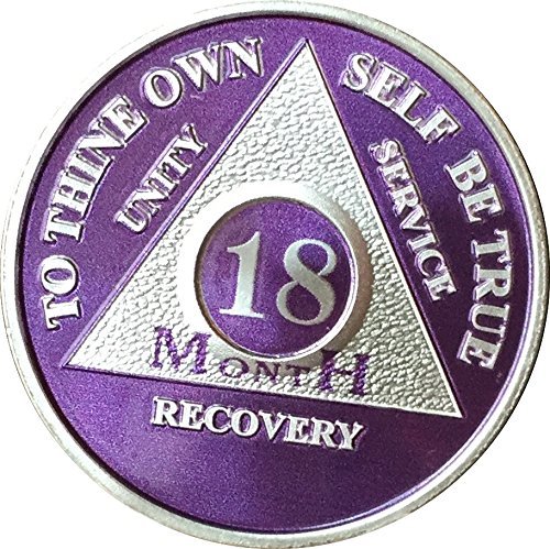 18 Month Purple Silver Plated AA Medallion Chip