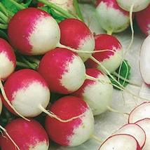 25+ pk Bunny Tail Radish Seed, Home garden, Sprouting Seeds - $2.99