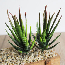 Artificial succulents Plants Aloe Zebrina Plants  Garden Decor 1pc   - $5.00