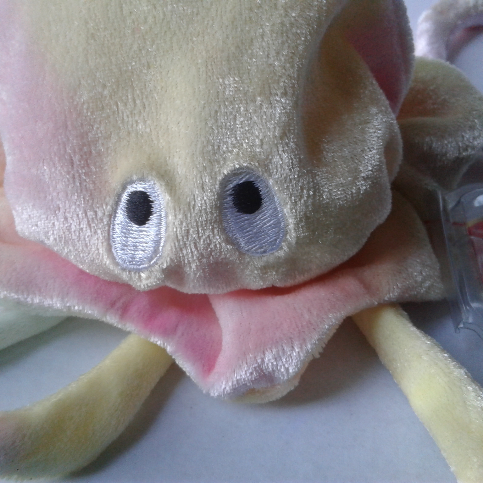 tie dye mood octopus