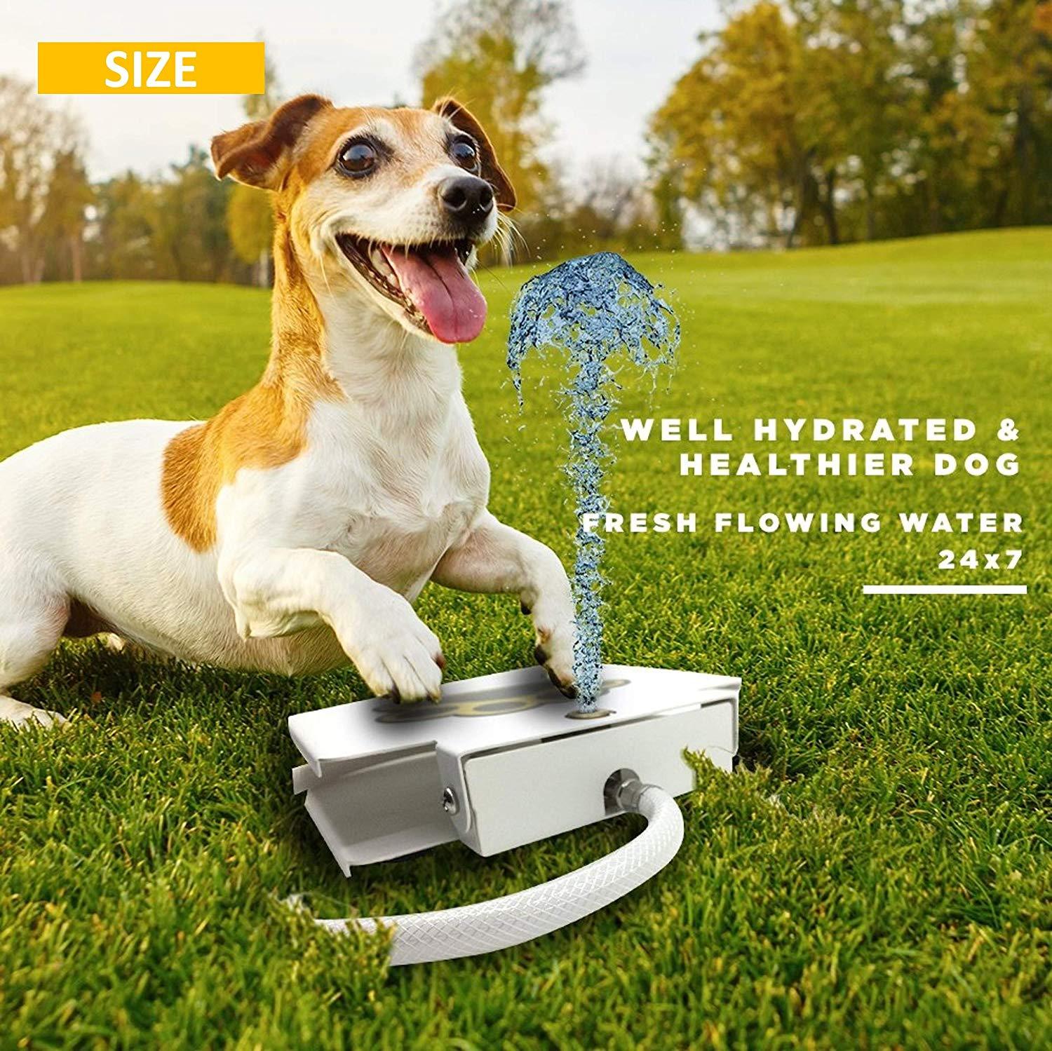 Dog Pet Drinking Activated Water Fountain With Step on Paw Pedal Valve
