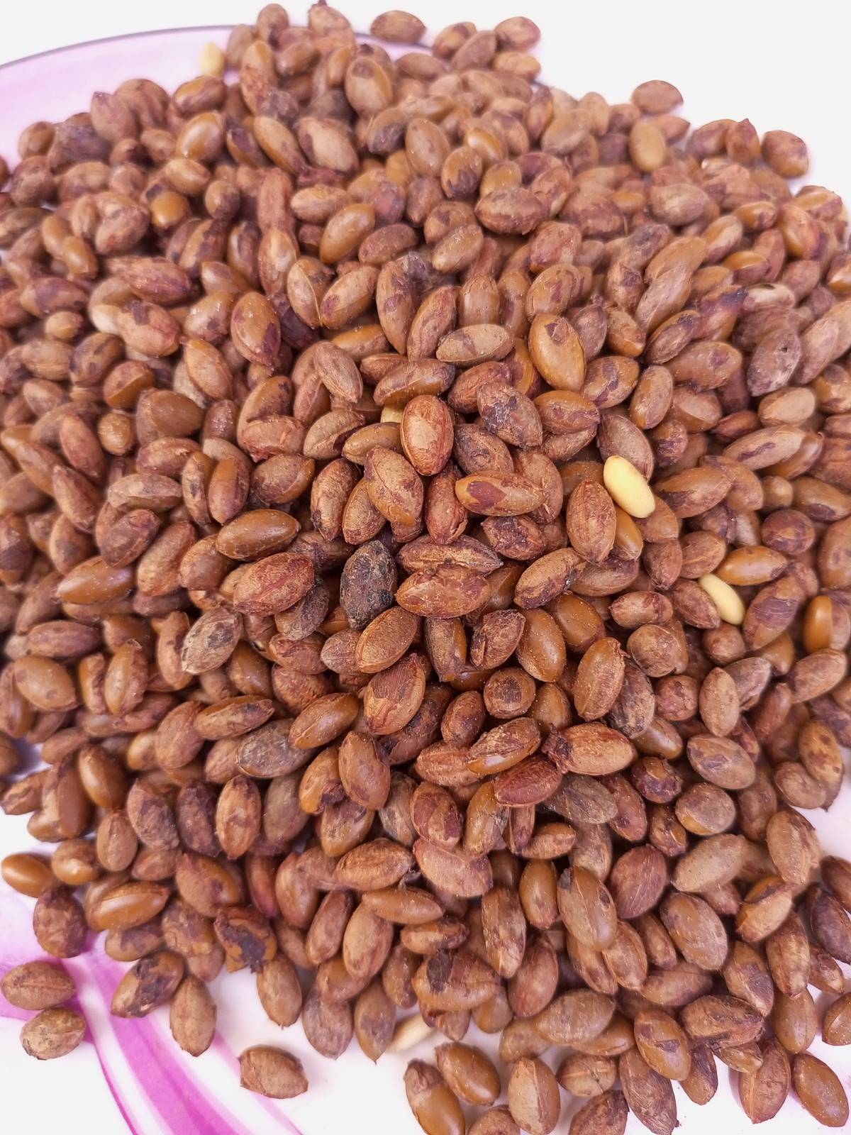 Synsepalum  dulcificum(Miracle fruit seeds), dried seeds for oil, medicinal, 200
