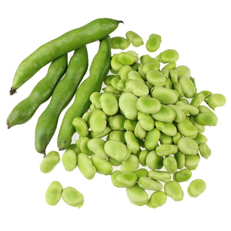 30 Broad Bean Seeds (fava beans), Organic and Fresh - Vegetable Seeds.