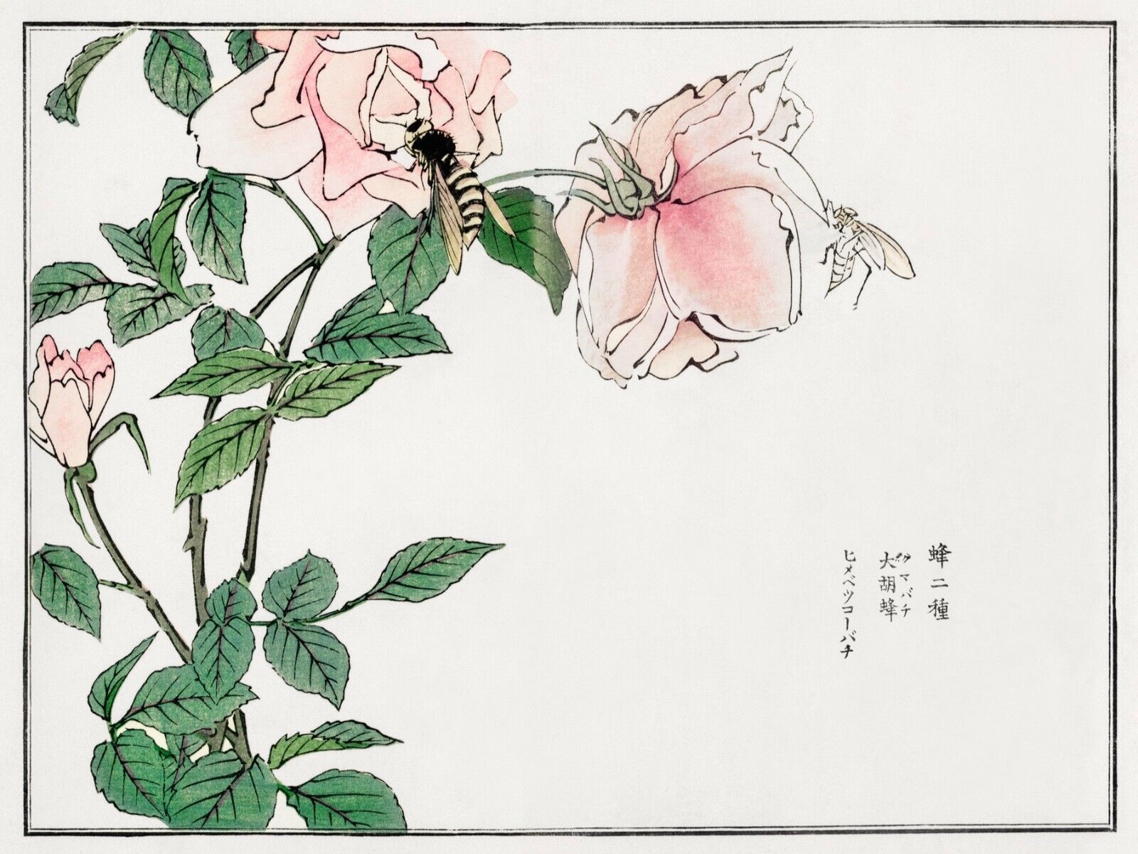 10077.Decor Poster.Room home wall.1910 Japan print.Morimoto Toko art.Floral