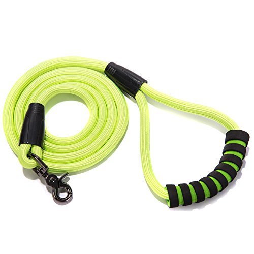 Fur Go 4 Ft Dog Leash with Comfortable Padded Handle Outdoor Pet Leash