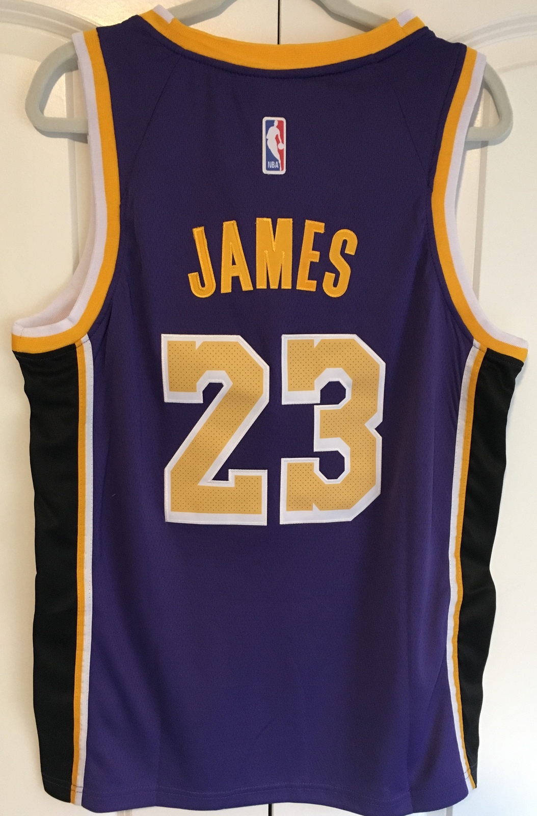 Lebron James LA Lakers Stitched Purple 