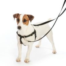 2Hounds Freedom No Pull Dog Harness X Large & Training Lead  NEW BFF Earth Style image 4