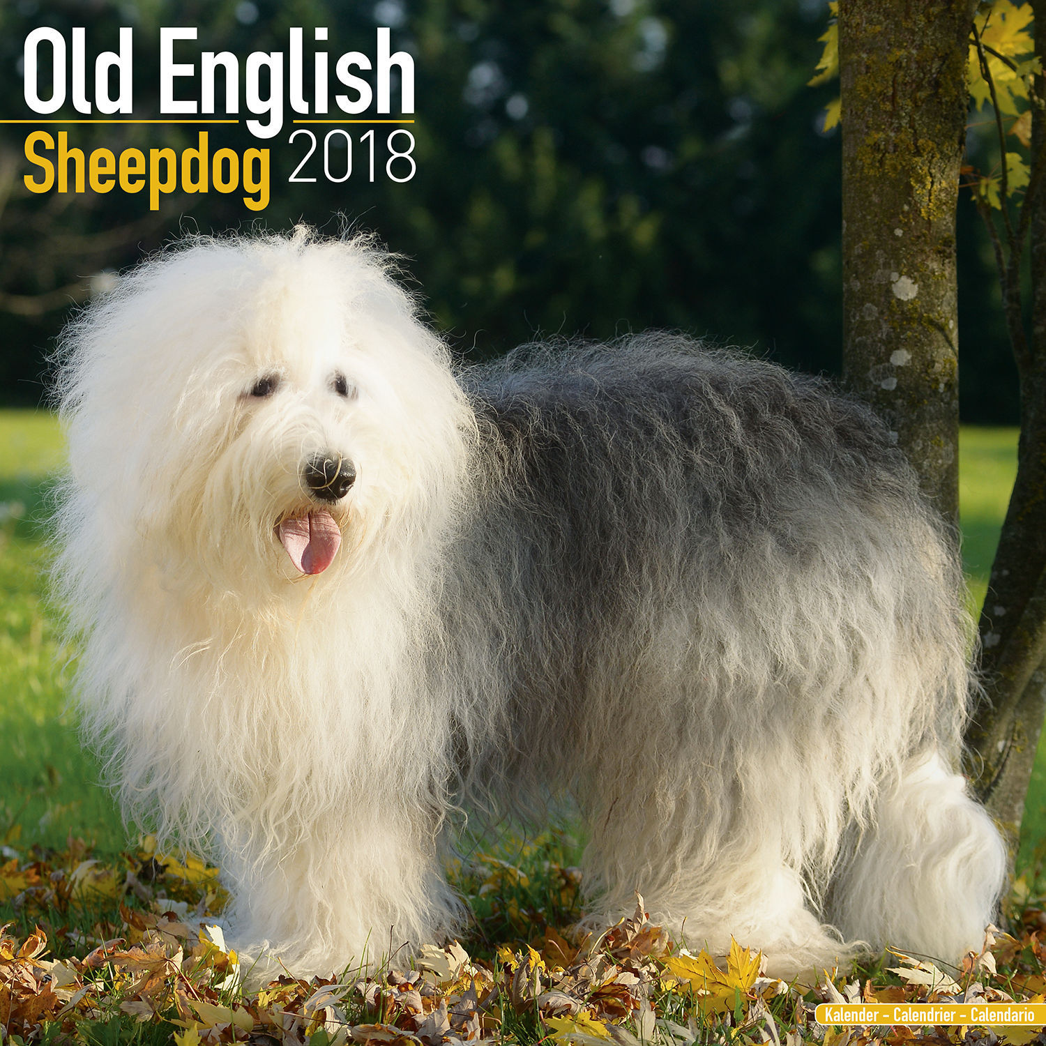 Old English Sheepdog Wall Calendar 2018 by Avonside - Calendars