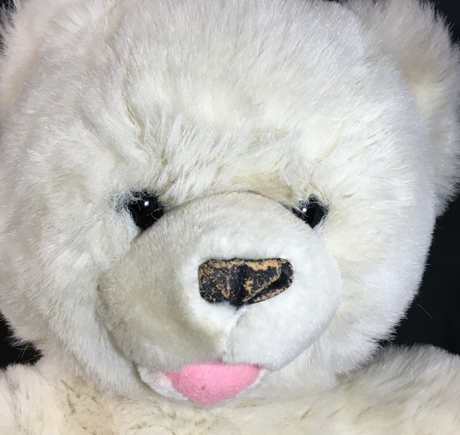 the westcliff collection teddy bear