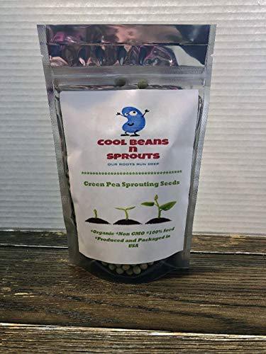 COOL BEANS n SPROUTS Brand, Green Pea Seeds for Sprouting Microgreens,1 Pound,