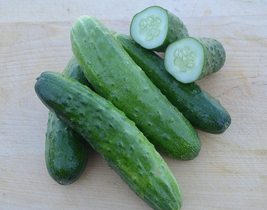 Cucumber Seeds - Straight Eight - Gardening - Outdoor Living Free Shipping - $28.99