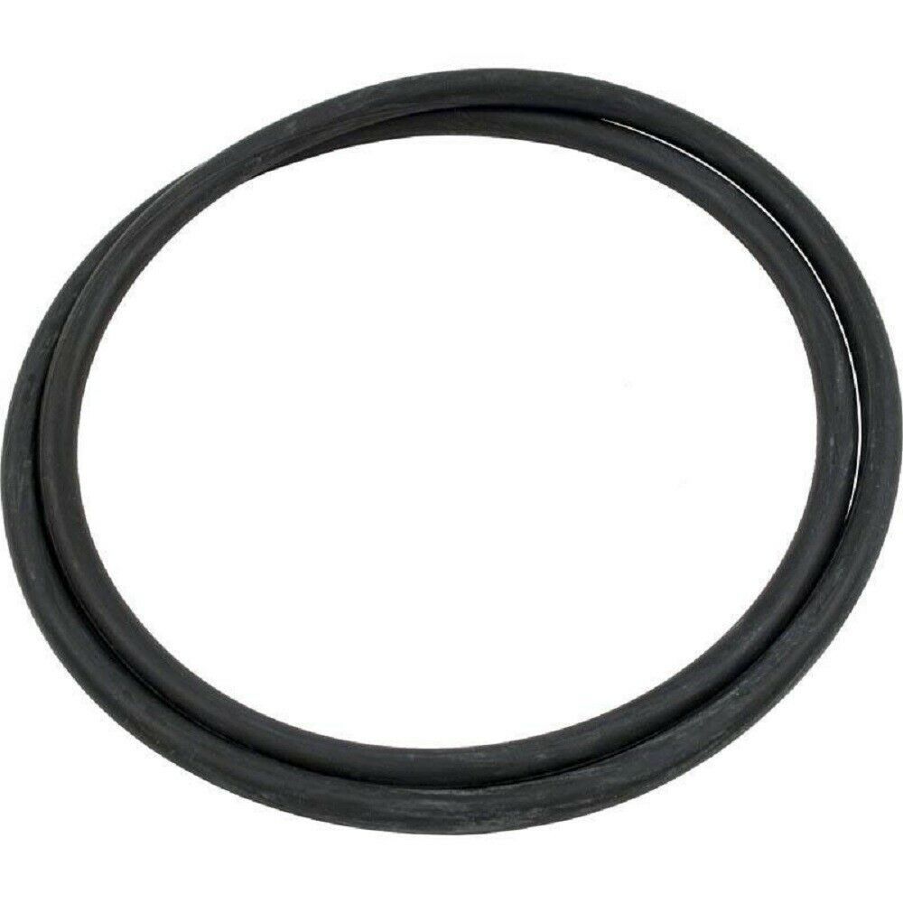 Pentair 178568 Tank ORing Replacement DM Pool and Spa Cartridge Filter