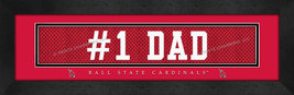 Ball state csul4b22ball 1500 bk cr thumb200
