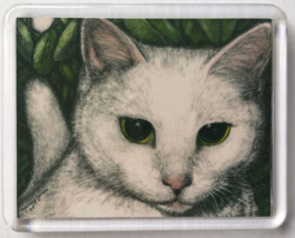 Cat Art Acrylic Large Magnet - Timmy - $7.00