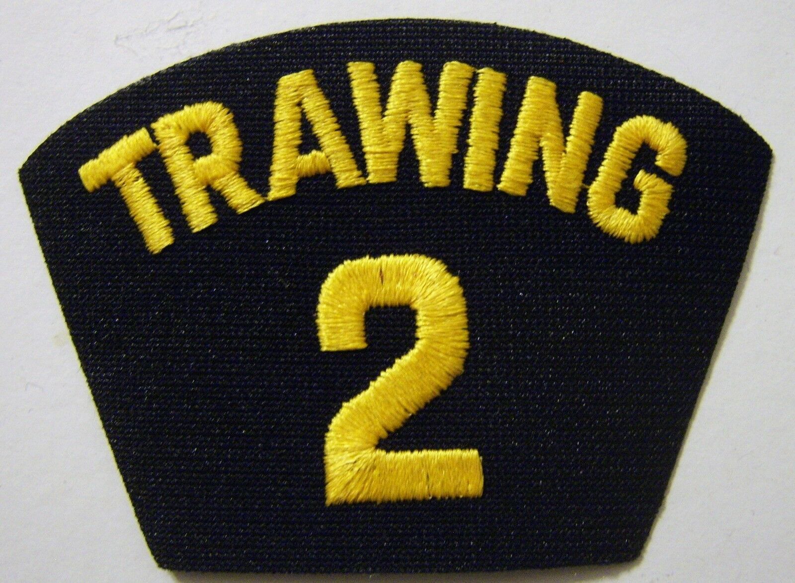 Primary image for USN CAP/JACKET PATCH - TRAINING WING 2 (TRAWING 2):E1