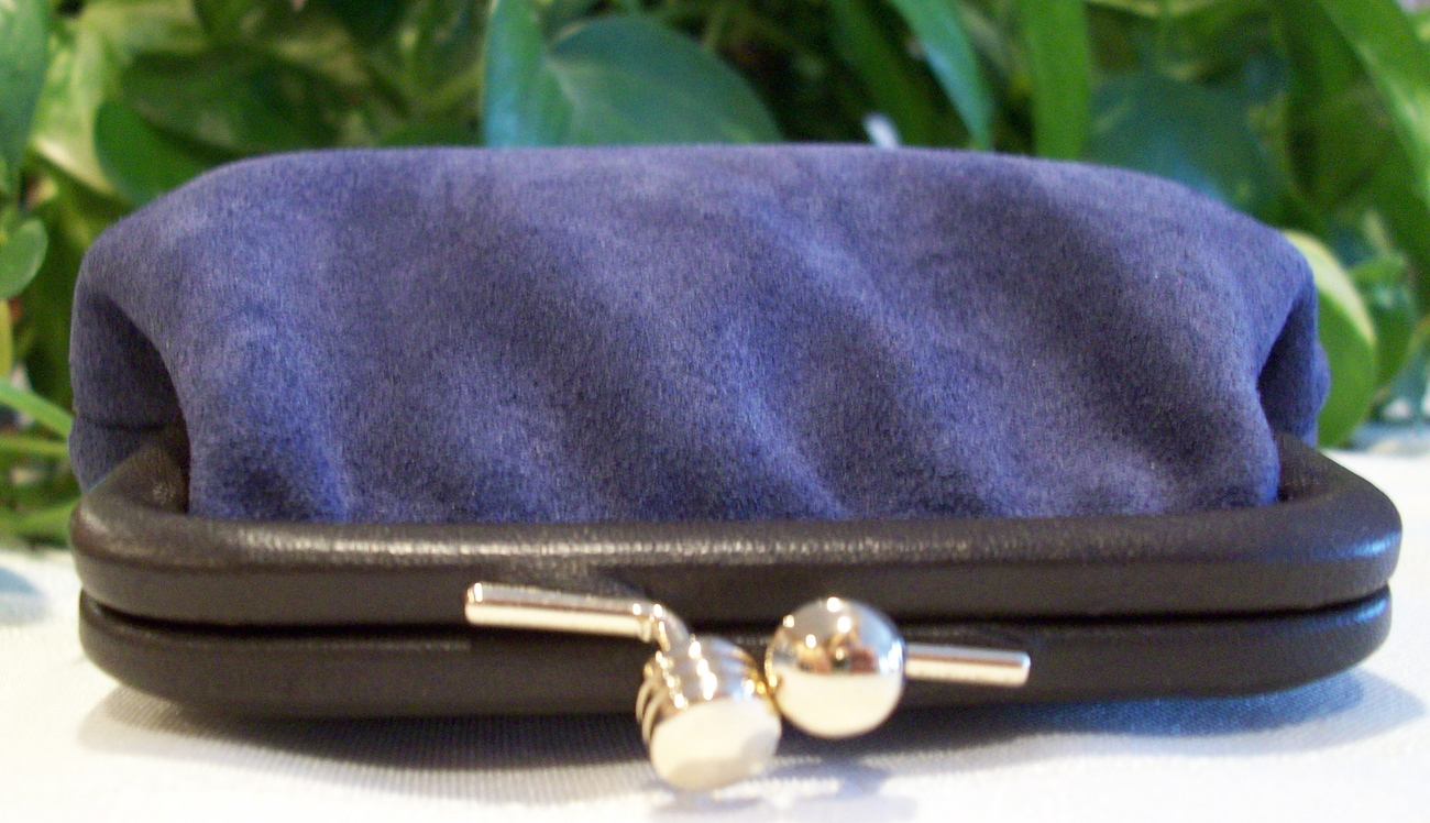 dooney large framed coin purse