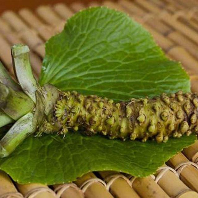 Wasabi Seeds 100pcs/bag Japanese Horseradish Seeds Vegetable Wasabia