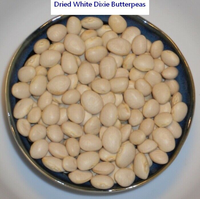 White Dixie Butter Pea Seed Bush Lima Bean Butterpea Seeds (1 Pound