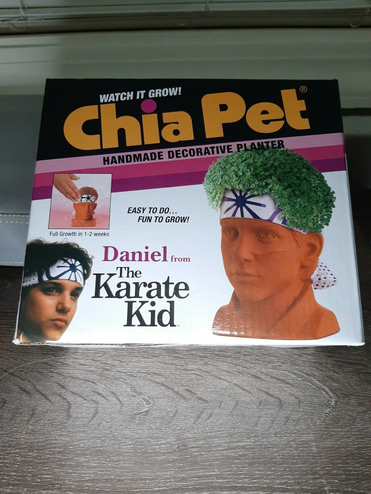 The Karate Kid Chia Pet Daniel Decorative Pottery Planter New! Planters