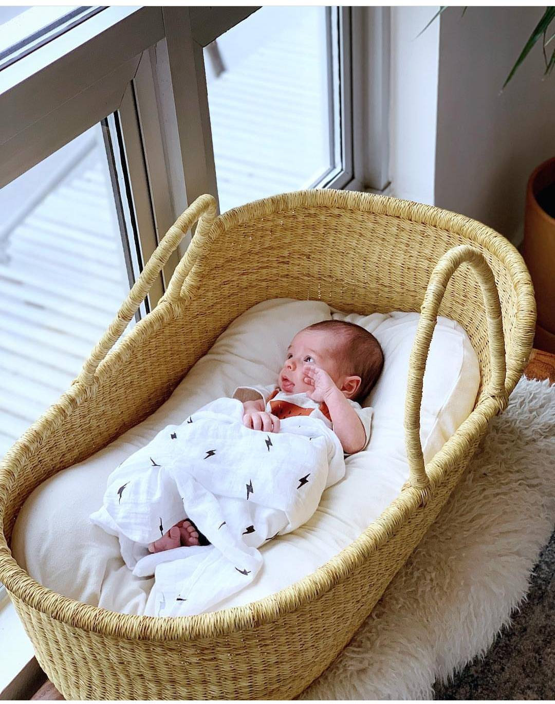 Putting A Moses Basket Together at Jessica Brown blog