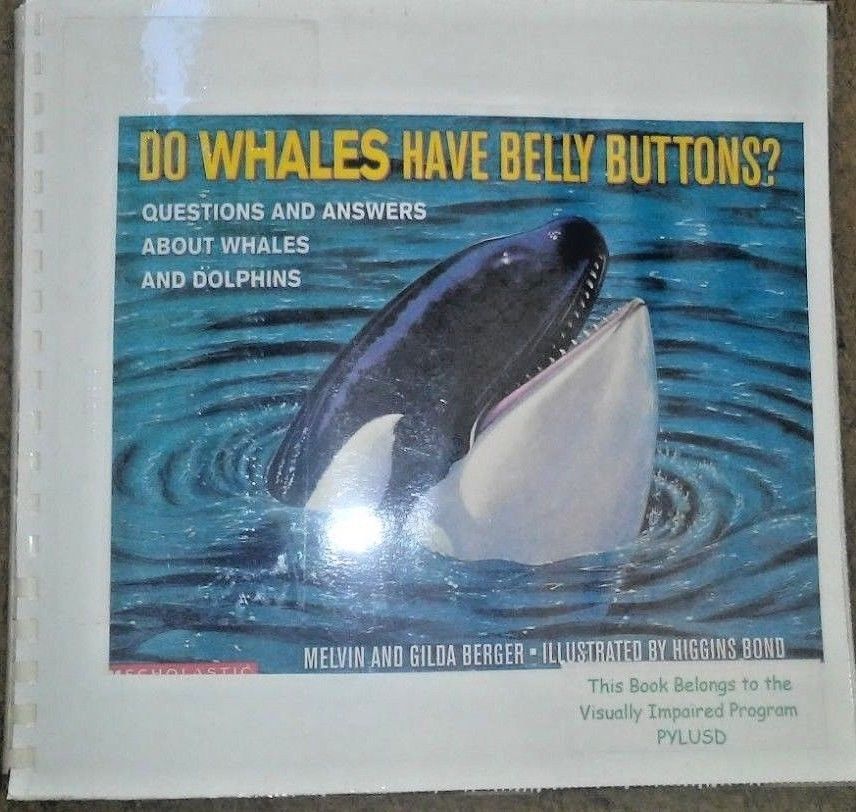Do Whales Have Belly Buttons? by M. Berger - in Braille for the Blind ...