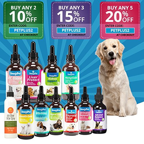Kennel Cough Medicine for Dogs Organic Dog Cough Medicine for Colds