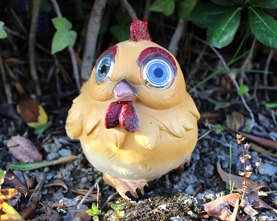 Solar Powered Chicken Garden Decor Light with 2 LED Eyes Animals & Birds