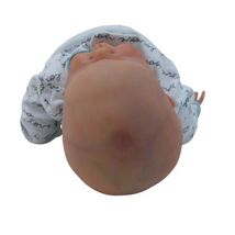 Reborn Newborn Baby Girl Doll Josephine by Cassie Brace Weighted Sleeping image 5